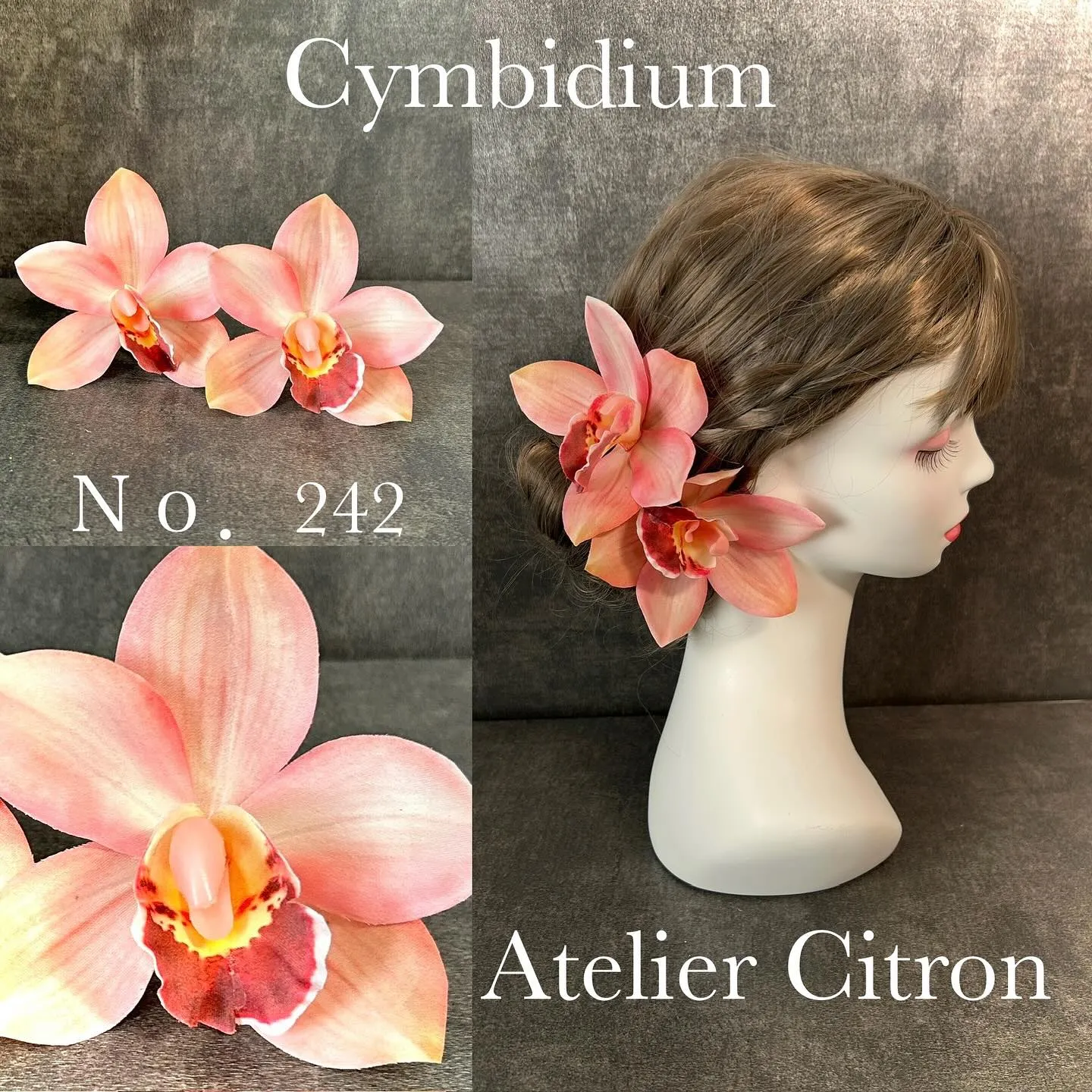 大輪シンビジウム入荷しました！！